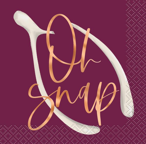 Chic Thanksgiving  Oh Snap  Beverage Napkins, 16ct Online now