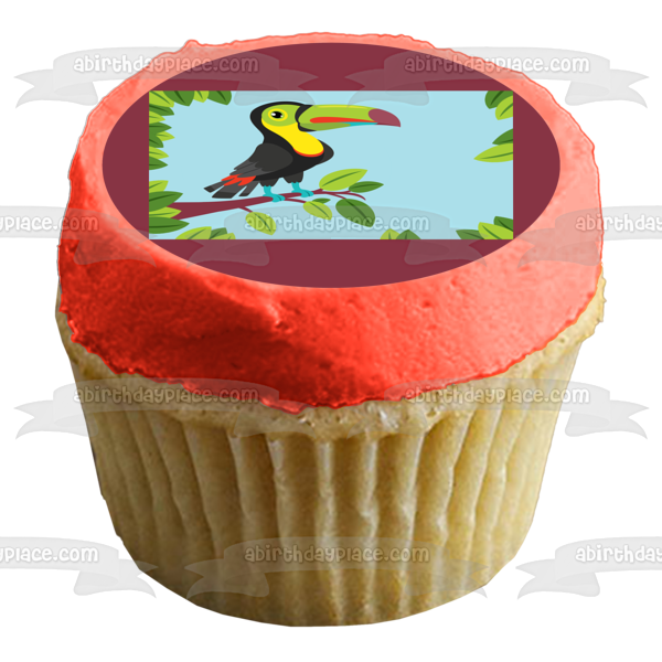 Toucan Illustration Edible Cake Topper Image ABPID57748 For Cheap