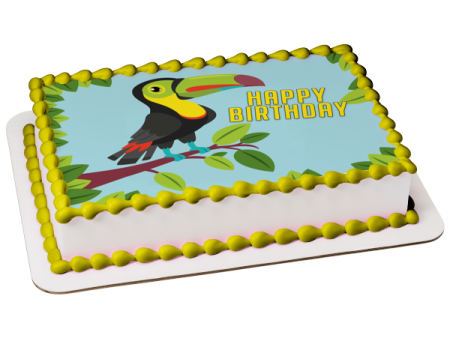 Toucan Illustration Edible Cake Topper Image ABPID57748 For Cheap