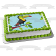 Toucan Illustration Edible Cake Topper Image ABPID57748 For Cheap