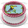 Toucan Illustration Edible Cake Topper Image ABPID57748 For Cheap