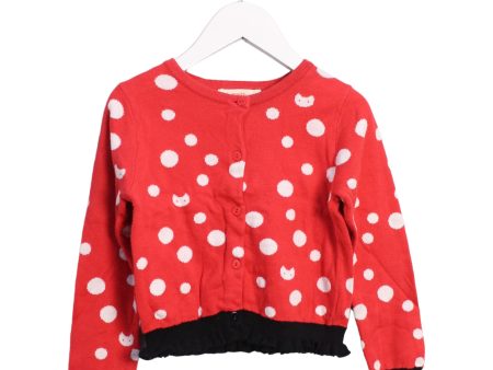 Momonittu Cardigan 4T Hot on Sale