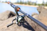 TT Copper Head Spin Fishing Rods For Discount