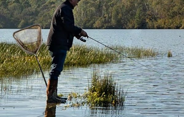 Maritec Bait Trap Square Online now