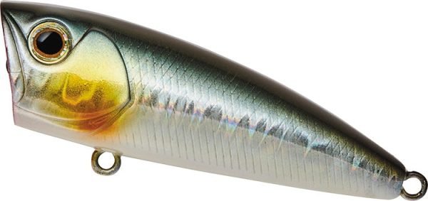 Daiwa Steez Popper 70F Lure Cheap