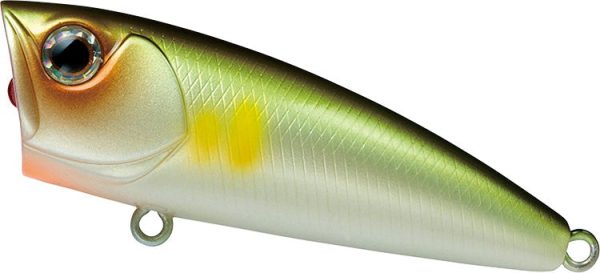 Daiwa Steez Popper 70F Lure Cheap