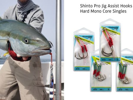 Shinto Pro Medium Heavy Assist Hooks Singles For Sale